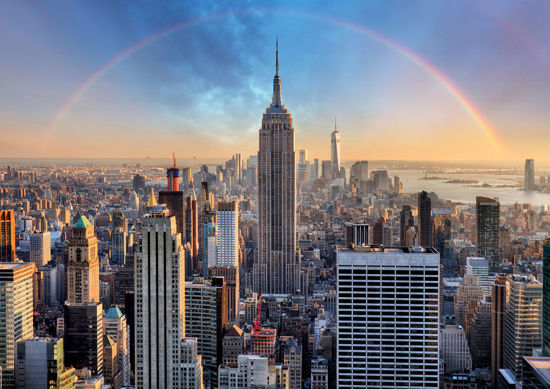 2023 Cub Road Trip NYC
